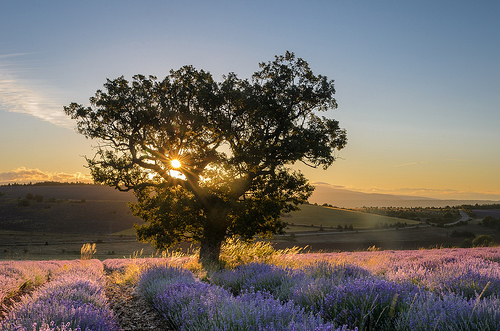 Magnifique lever de soleil près de Sault by Stéphan Wierzejewski