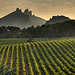 Les dentelles de Montmirail by Elisabeth- - Suzette 84190 Vaucluse Provence France