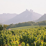 Les Dentelles de Montmirail by brmougin - Suzette 84190 Vaucluse Provence France