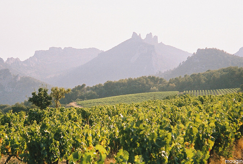 Les Dentelles de Montmirail par brmougin