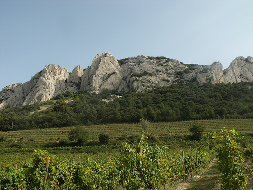 Le sommet des Dentelles de Montmirail by george.f.lowe