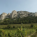 Le sommet des Dentelles de Montmirail by george.f.lowe - Suzette 84190 Vaucluse Provence France