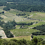 Paysage de vignes près de Vacqueyras par JMVerco - Vacqueyras 84190 Vaucluse Provence France