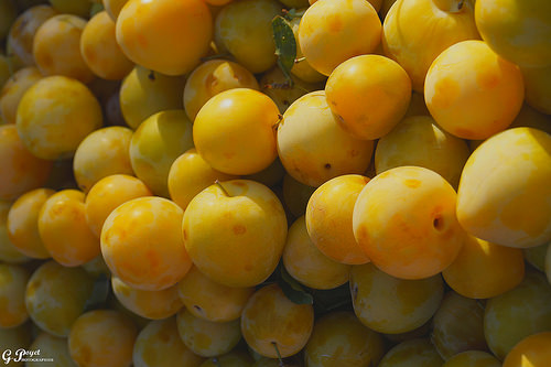 Prunes sur le marché de Vaison La Romaine by Gilles Poyet photographies