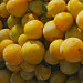 Prunes sur le marché de Vaison La Romaine by Gilles Poyet photographies - Vaison la Romaine 84110 Vaucluse Provence France