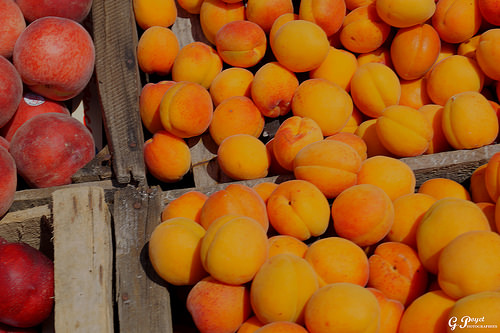 Abricots sur le marché de Vaison by Gilles Poyet photographies