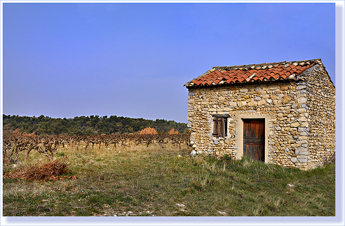 Cabanon des vignes - Vaison-la-Romaine by Charlottess