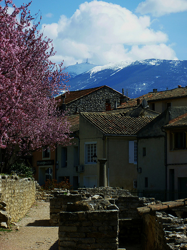 Le sommet du Mont-Ventoux face Nord par fgenoher