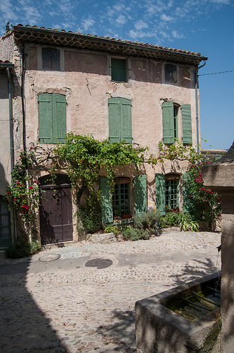 Vieille batisse avec sa vigne vierge par Joël Galeran