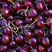 Cerises rubit sur le marché de vaison by Gilles Poyet photographies - Vaison la Romaine 84110 Vaucluse Provence France