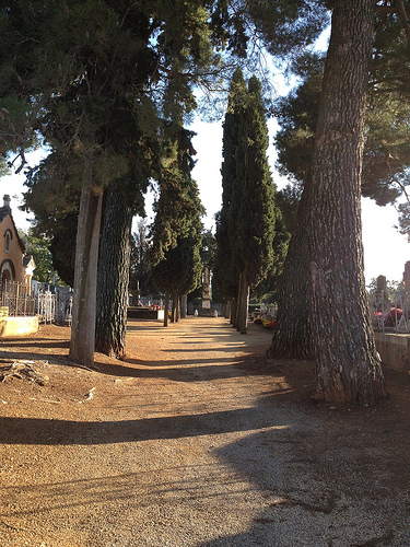 Cimetière de Villes-sur-Auzon à la Toussaint by gab113