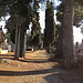 Cimetière de Villes-sur-Auzon à la Toussaint par gab113 - Villes sur Auzon 84570 Vaucluse Provence France