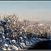 Vue depuis le Col de l'Aire Deï Masco par J@nine - Vitrolles 84240 Vaucluse Provence France