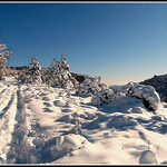 La neige en Provence ! par J@nine - Vitrolles 84240 Vaucluse Provence France