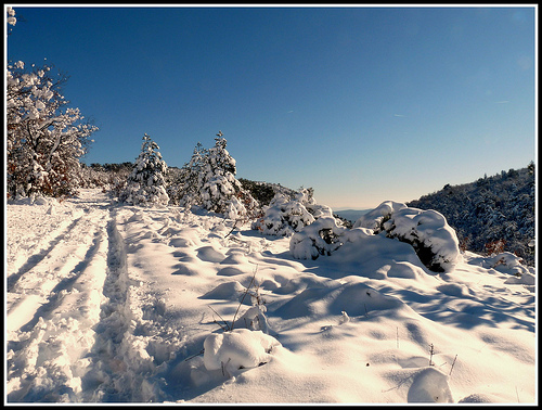 La neige en Provence ! par J@nine