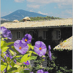 Ventoux en vue... par Idealist'2010 -   Vaucluse Provence France