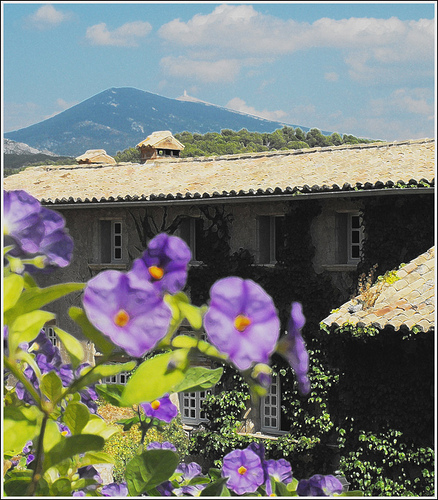 Ventoux en vue... by Idealist'2010