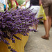 Bonnieux Market : lavender par patrickd80 - Bonnieux 84480 Vaucluse Provence France