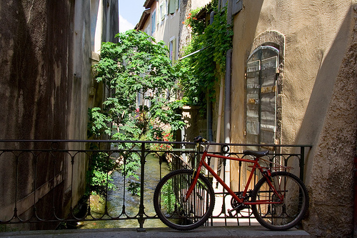 A day in Provence by Pug!