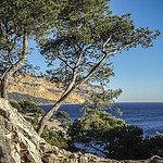 Un avant goût de paradis - vu sur Cap Canaille par Patougreef - Cassis 13260 Bouches-du-Rhône Provence France