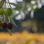 Colors changing by Nath R. - Les Baux de Provence 13520 Bouches-du-Rhône Provence France