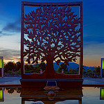 L'Arbre de l'espérance par Murphy13006 - Marseille 13000 Bouches-du-Rhône Provence France