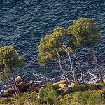 Depuis la Route des Crêtes : ne pas tomber ! par ma_thi_eu - Cassis 13260 Bouches-du-Rhône Provence France