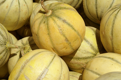 Marché : les beaux melons de Cavaillon par Elisabeth85
