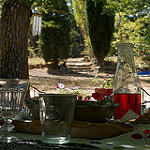 Rosé à l'ombre des cypres - La table... par F.G photographies - Flassan 84410 Vaucluse Provence France