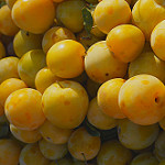 Prunes sur le marché de Vaison La Romaine by Gilles Poyet photographies - Vaison la Romaine 84110 Vaucluse Provence France