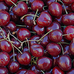 Cerises sur les marchés de provence par Gilles Poyet photographies - Arles 13200 Bouches-du-Rhône Provence France