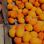 Abricots sur le marché de Vaison par Gilles Poyet photographies - Vaison la Romaine 84110 Vaucluse Provence France