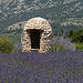 Borie et champs de lavance en Provence by by_irma - Sault 84390 Vaucluse Provence France