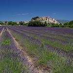 Grignan : Provence purple by Johan_Leiden -   provence Provence France