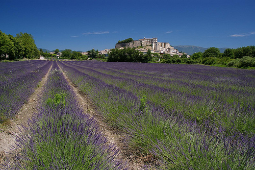 Grignan : Provence purple by Johan_Leiden