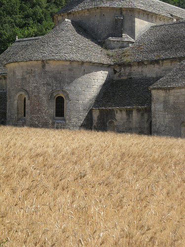 Cistercian Abbey of Senanque par Andrew Findlater