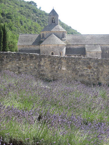 Abbey of Senanque and lavender fields par Andrew Findlater