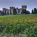 Domaines Mousset : Château des Fines Roches par Elisabeth- - Châteauneuf-du-Pape 84230 Vaucluse Provence France