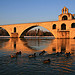 Avignon : Pont Saint Benezet par le_emde - Avignon 84000 Vaucluse Provence France