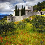 Paysage impressionniste : pierre, coquelicots, cyprès par Patrick Bombaert -   Vaucluse Provence France