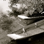 Barques sur la sorgue : Isle sur la Sorgue par p&m02 - L'Isle sur la Sorgue 84800 Vaucluse Provence France