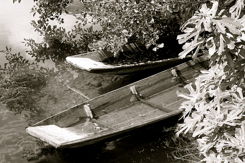 Barques sur la sorgue : Isle sur la Sorgue by p&m02