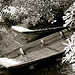 Barques sur la sorgue : Isle sur la Sorgue par p&m02 - L'Isle sur la Sorgue 84800 Vaucluse Provence France