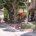 A l'ombre des platanes à Gigondas par nikian2010 - Gigondas 84190 Vaucluse Provence France