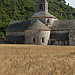 L'abbaye de Sénanque by Gatodidi - Gordes 84220 Vaucluse Provence France