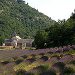 Abbaye de Sénanque par Gatodidi - Gordes 84220 Vaucluse Provence France