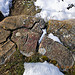 Puzzle de pierres et neige par roderic alexis -   Hautes-Alpes Provence France