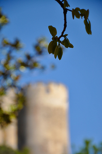 Fort Saint-André de Villeneuve lez Avignon par Laurent2Couesbouc