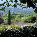 Verdure et lavande en Cabrières d'Avignon by Mattia Camellini - Cabrieres d'Avignon 84220 Vaucluse Provence France