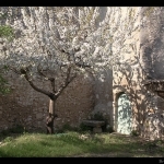 Le printemps 2010 est là ! par Brigitte Mazéas -   provence Provence France